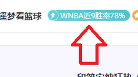 阿森纳队长转会勒沃库森：官方确认扎卡以2500万欧元加盟
