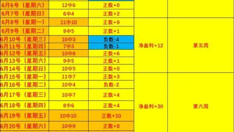 开云体育赞助 100604 5